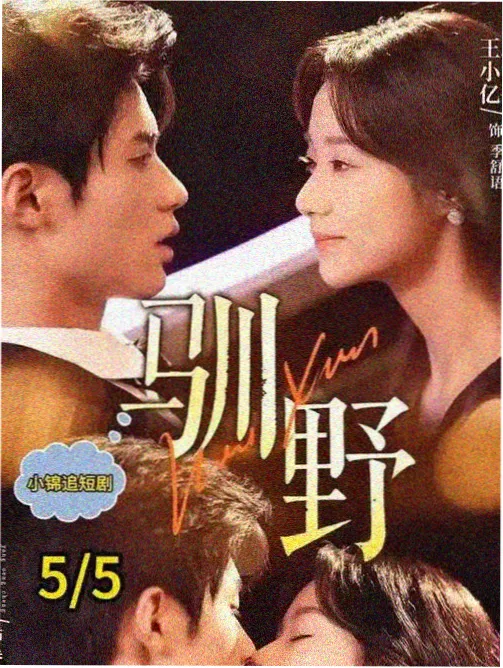 影评资讯 星空影视